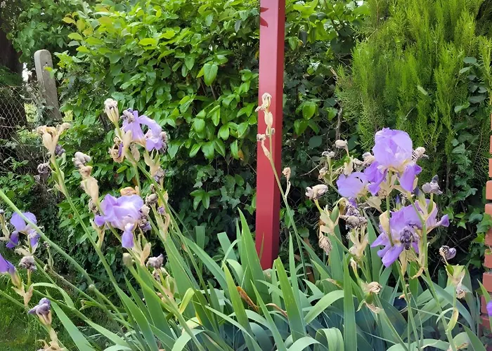 Holiday home Le La Neverdiere